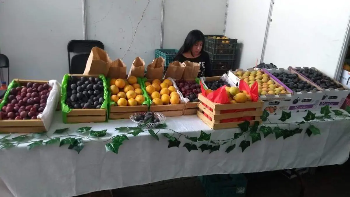 feria-frutas-tetela-volcán
