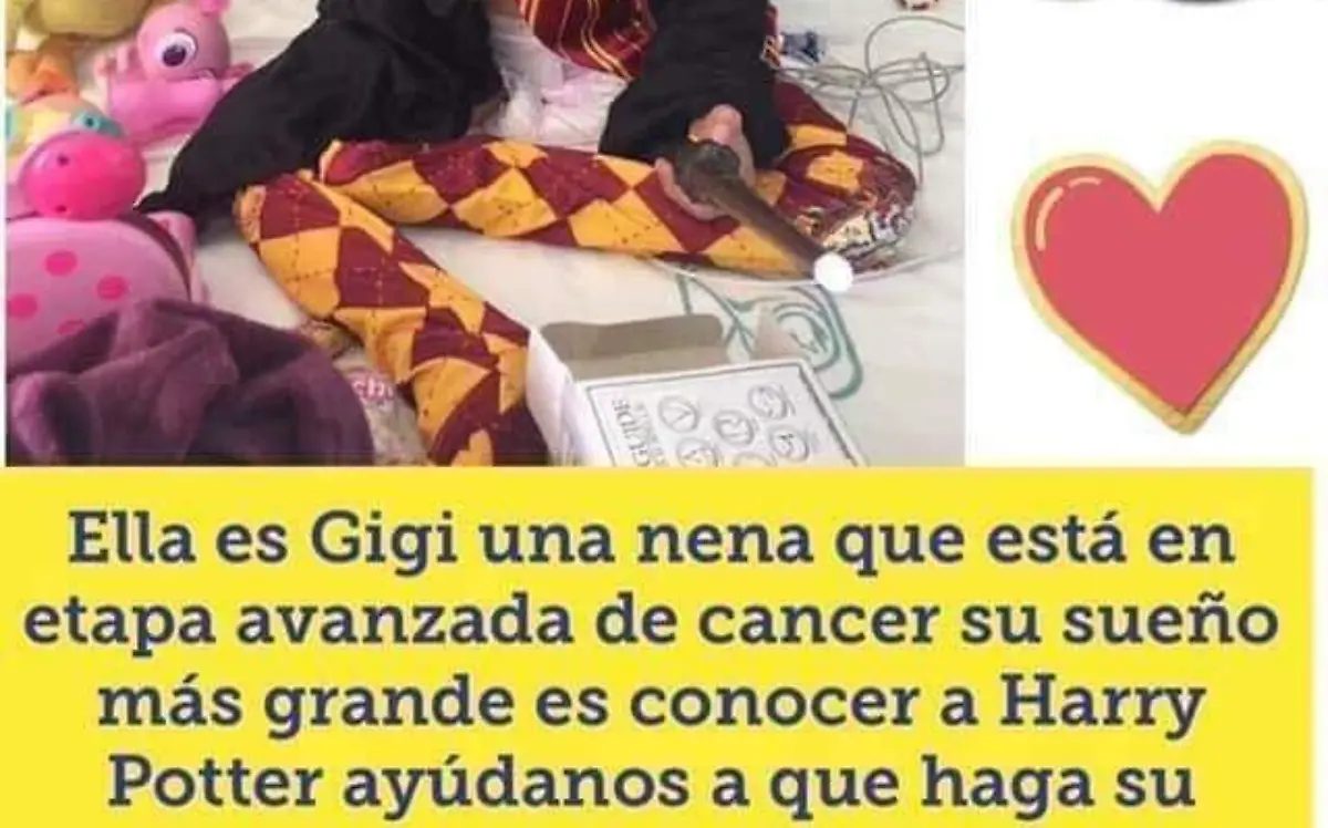 WhatsApp Image 2019-01-12 at 20.13.15