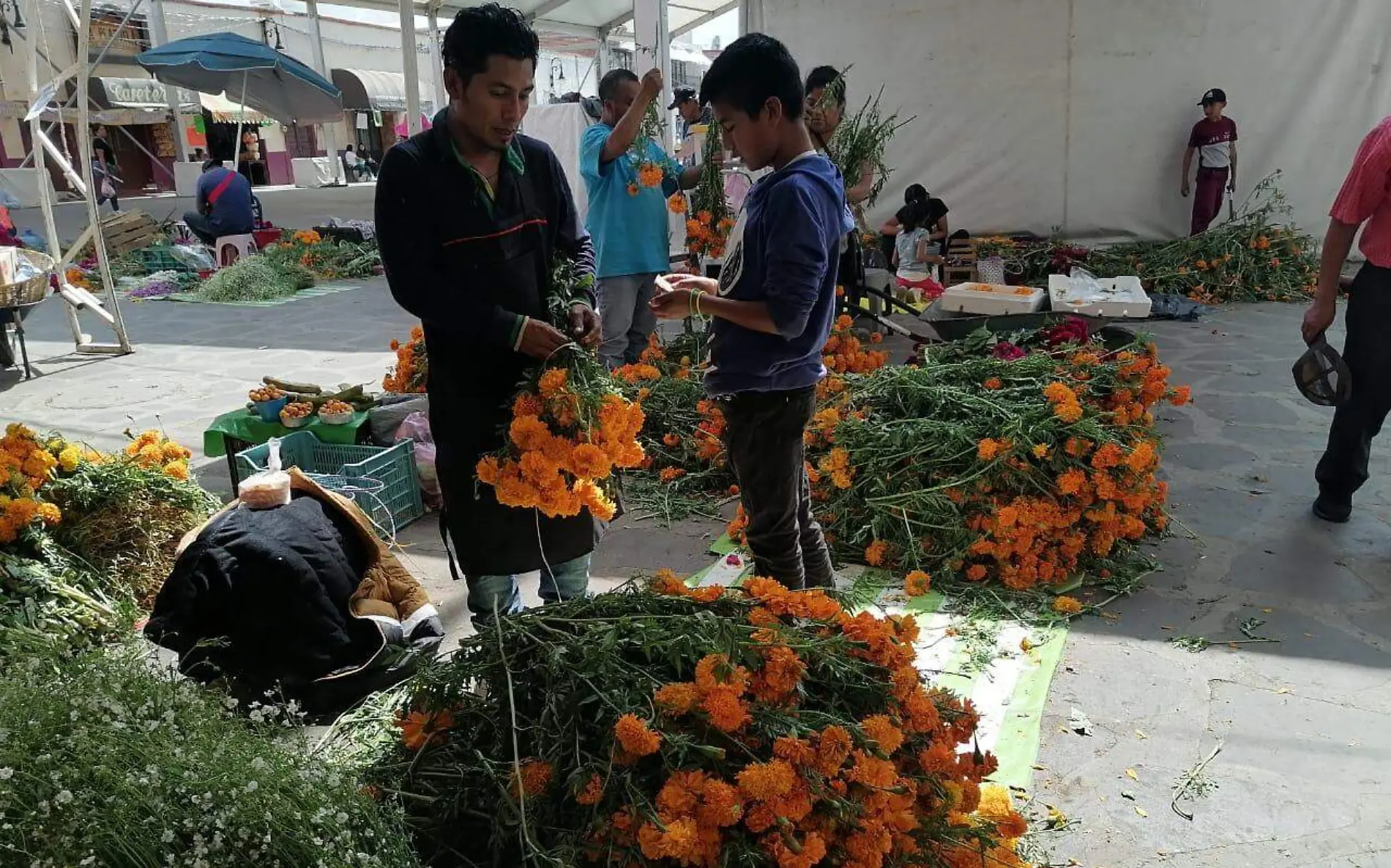 productores-cempasúchil-día-de-muertos