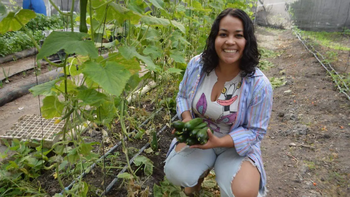 alimentos orgánicos