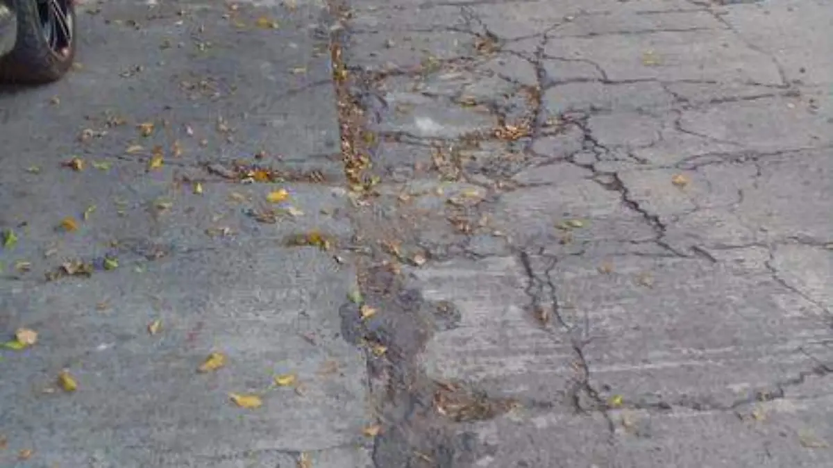 Ante la falta de recursos, la mayoría de las calles se encuentran en el abandono Rosaura Hernández