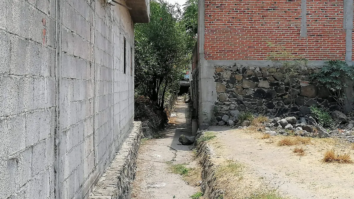 colonia-cuautla