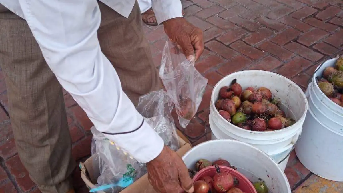 pitaya-region-oriente