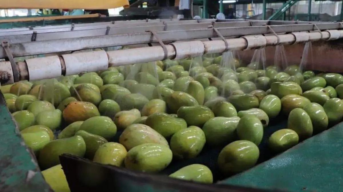 WhatsApp Image 2021-12-26 at 3.05.04 PM