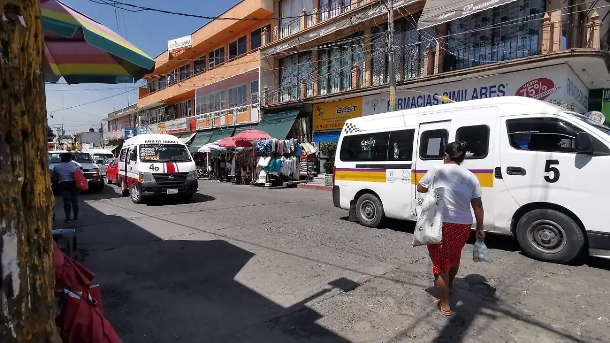 transportistas-rosaura