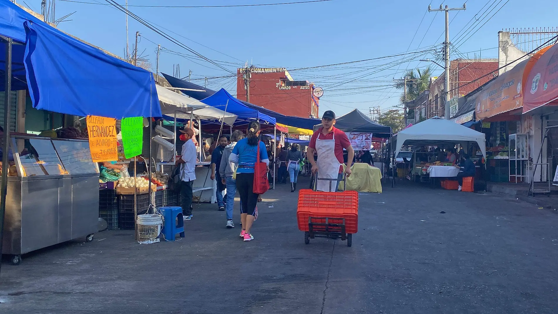 reubicación-negocios-mercado-ofelia