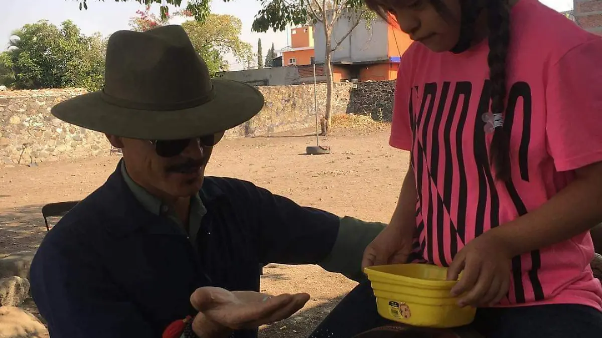 Equinoterapia para la calidad de vida