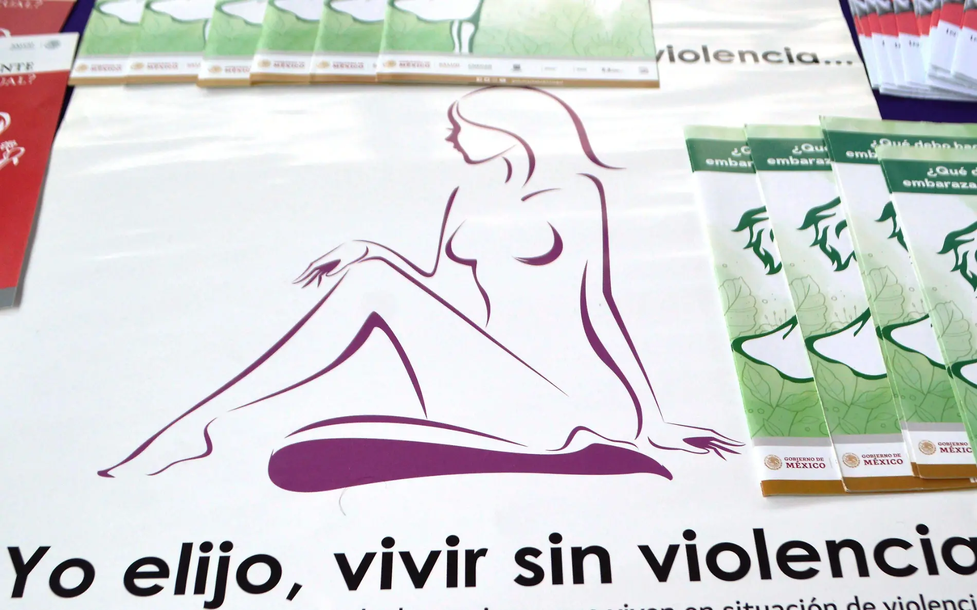 vivir-sin-violencia-de-genero-gudelia