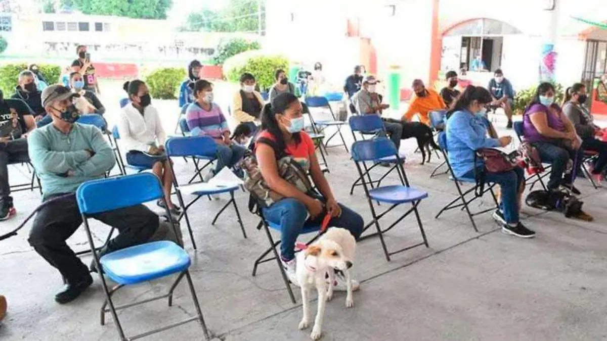 campaña-de-esterilizacion-de-perros