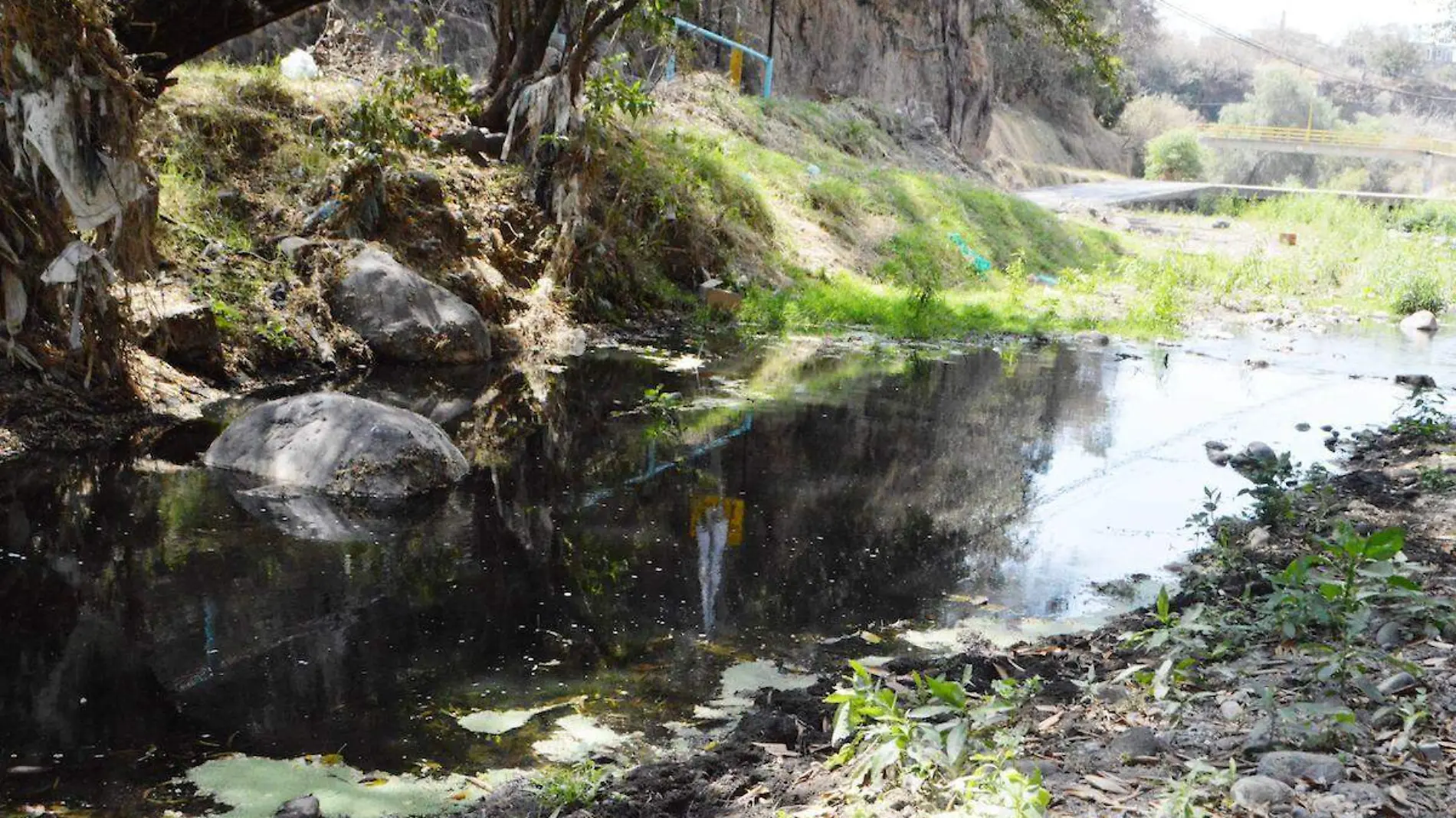 estudios-contaminacion-rio-cuautla-2