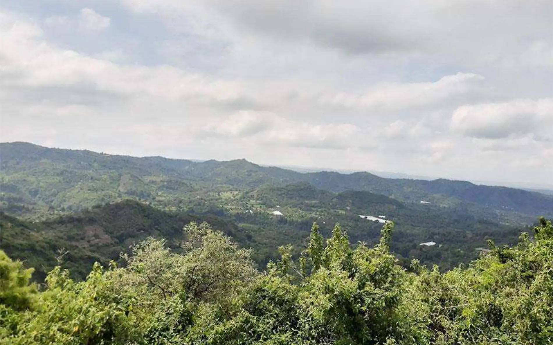 bosques-tetela-del-volcan