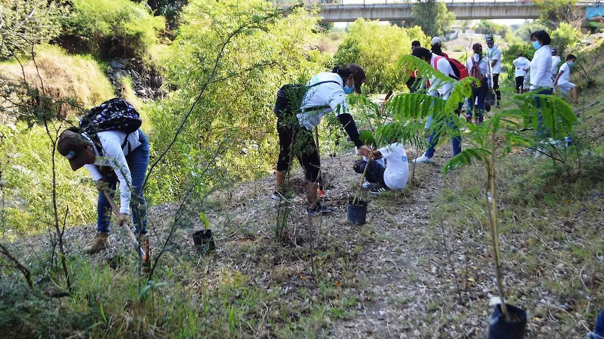 reforestacion-rio-cuautla-1-archivo-gude-servin