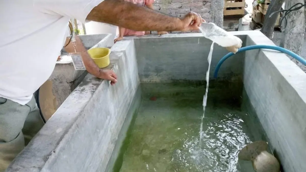 WhatsApp Image 2021-04-29 at 14.53.51 (1)