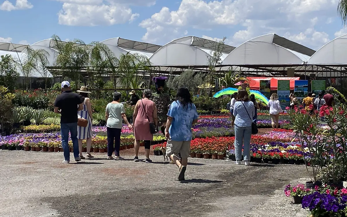 festival-conaplor-morelos