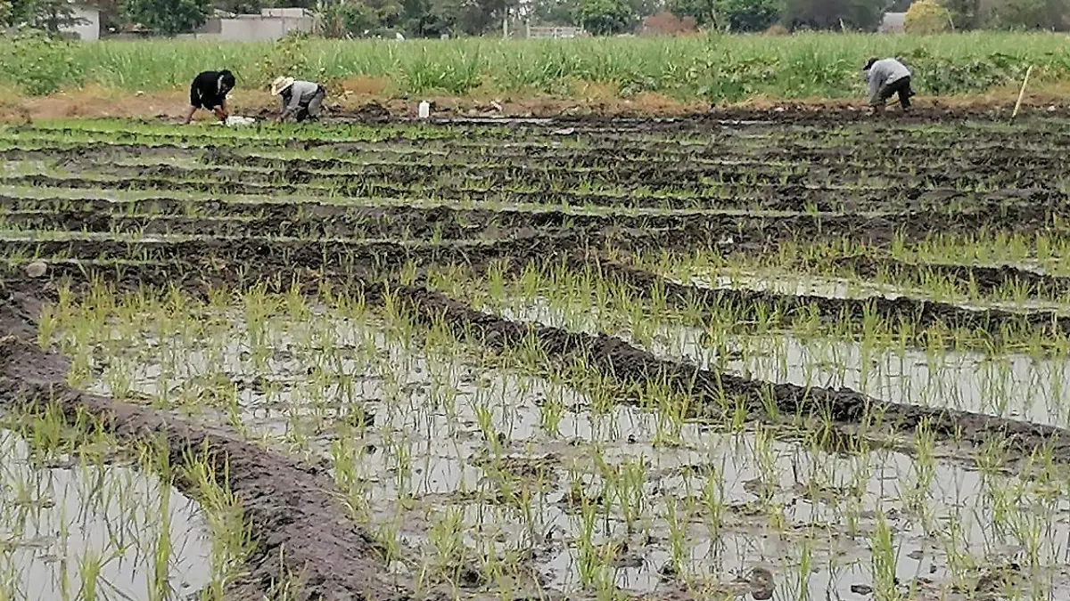 WhatsApp Image 2021-05-04 at 19.03.58 (1)