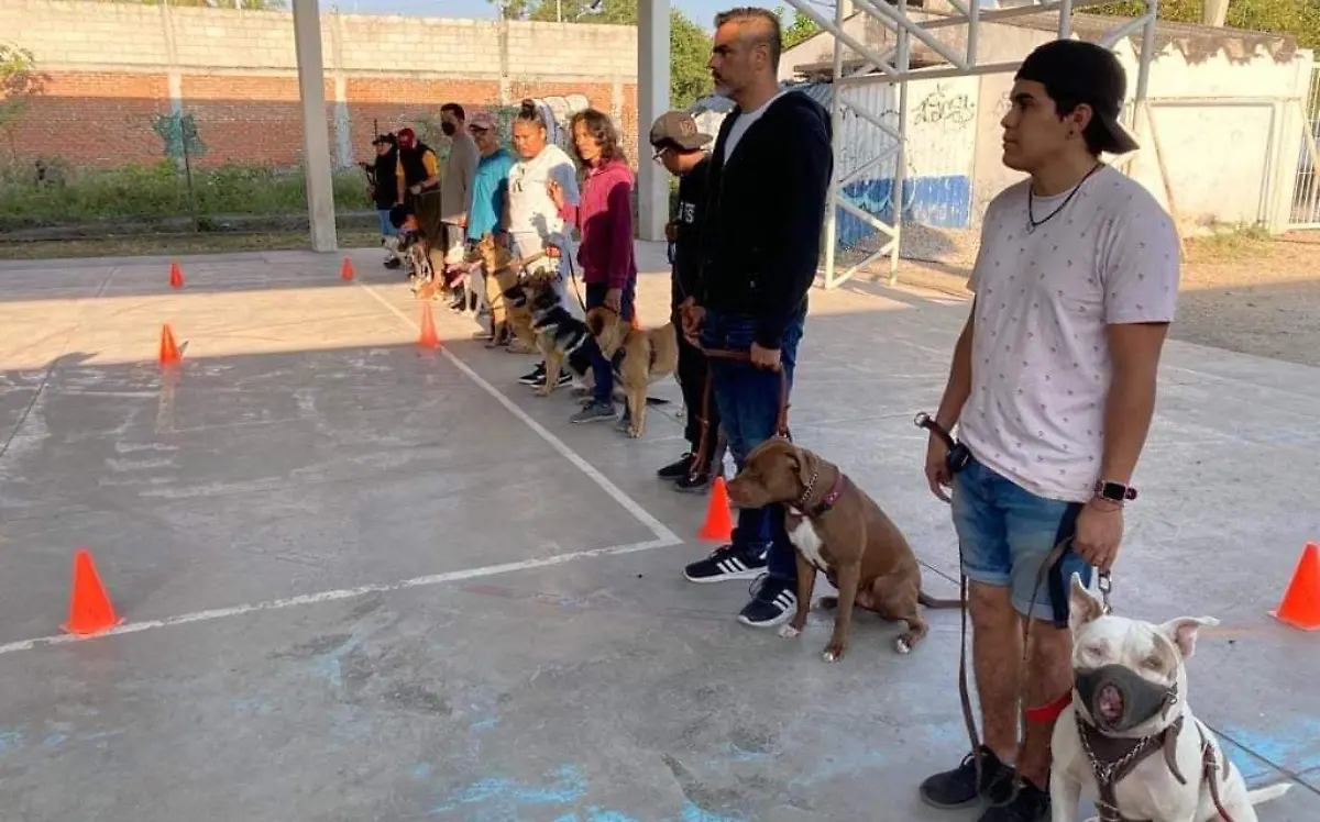 talleres-caninos-ayala-archivo
