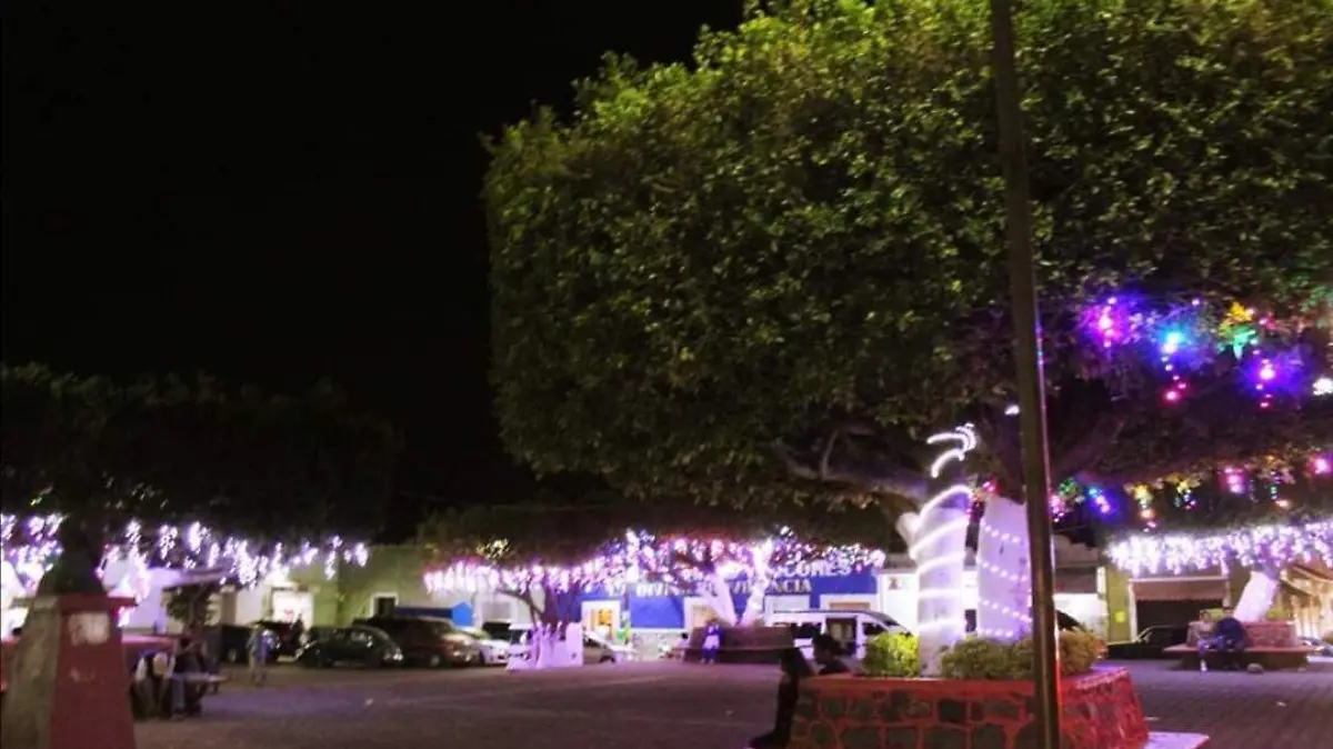 Jonacatepec Arbol Navideño (2)