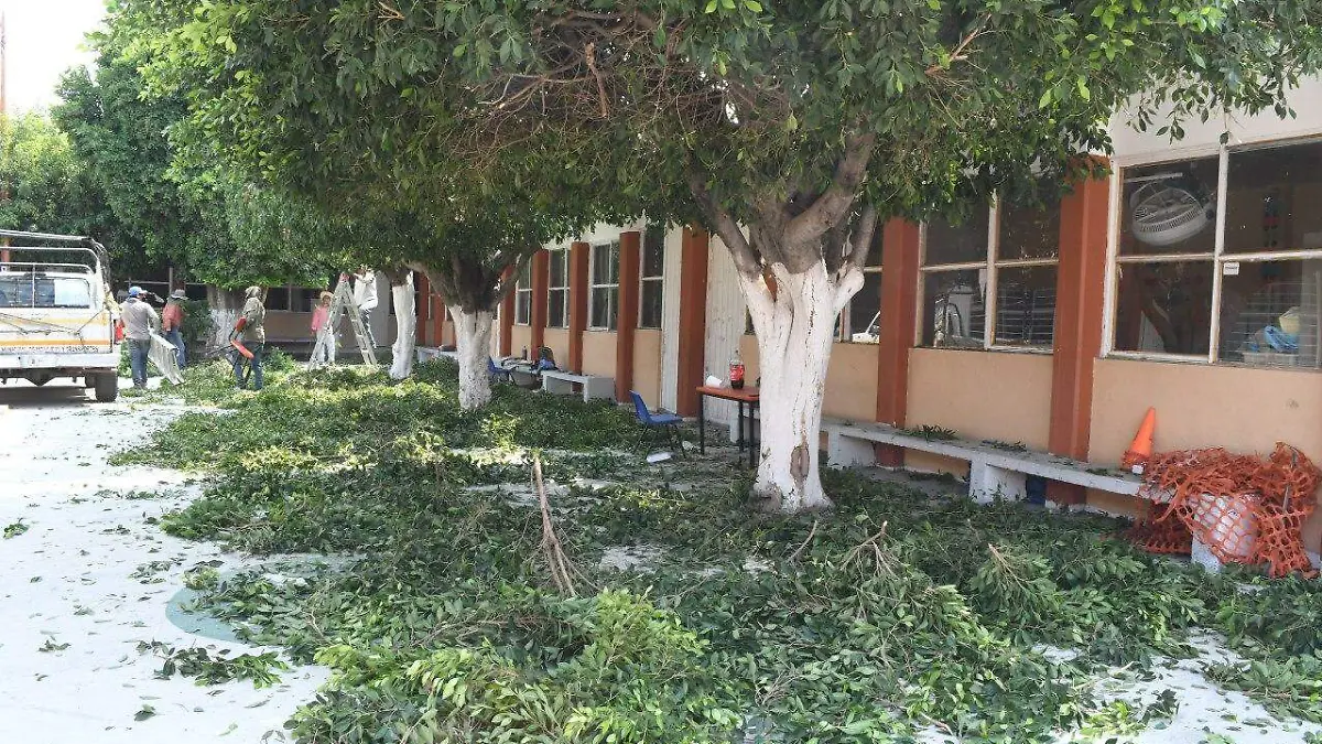 Mantenimiento de escuelas