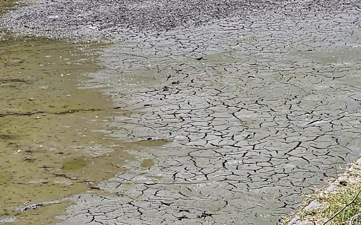 calor-mata-peces-chinameca