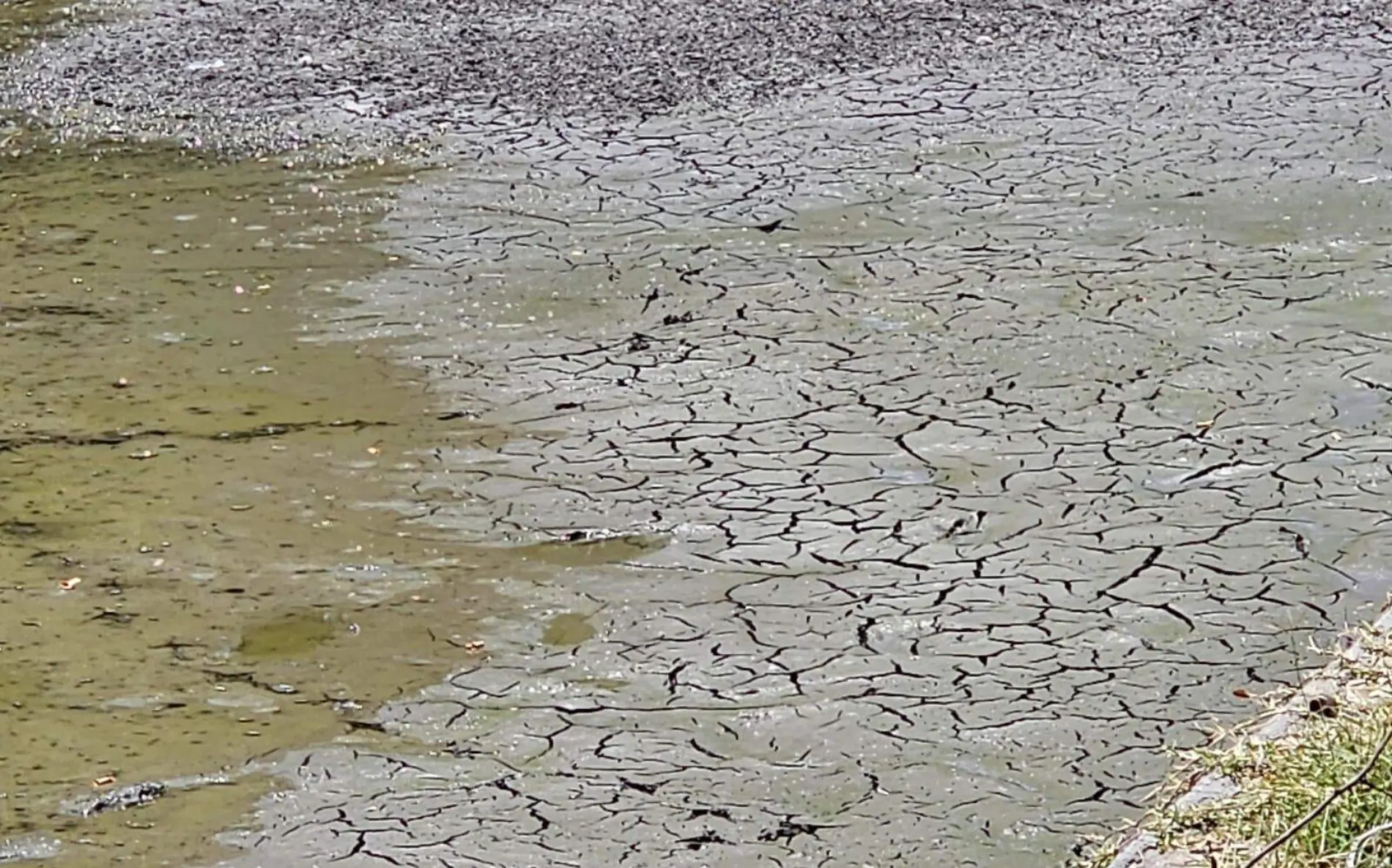 calor-mata-peces-chinameca