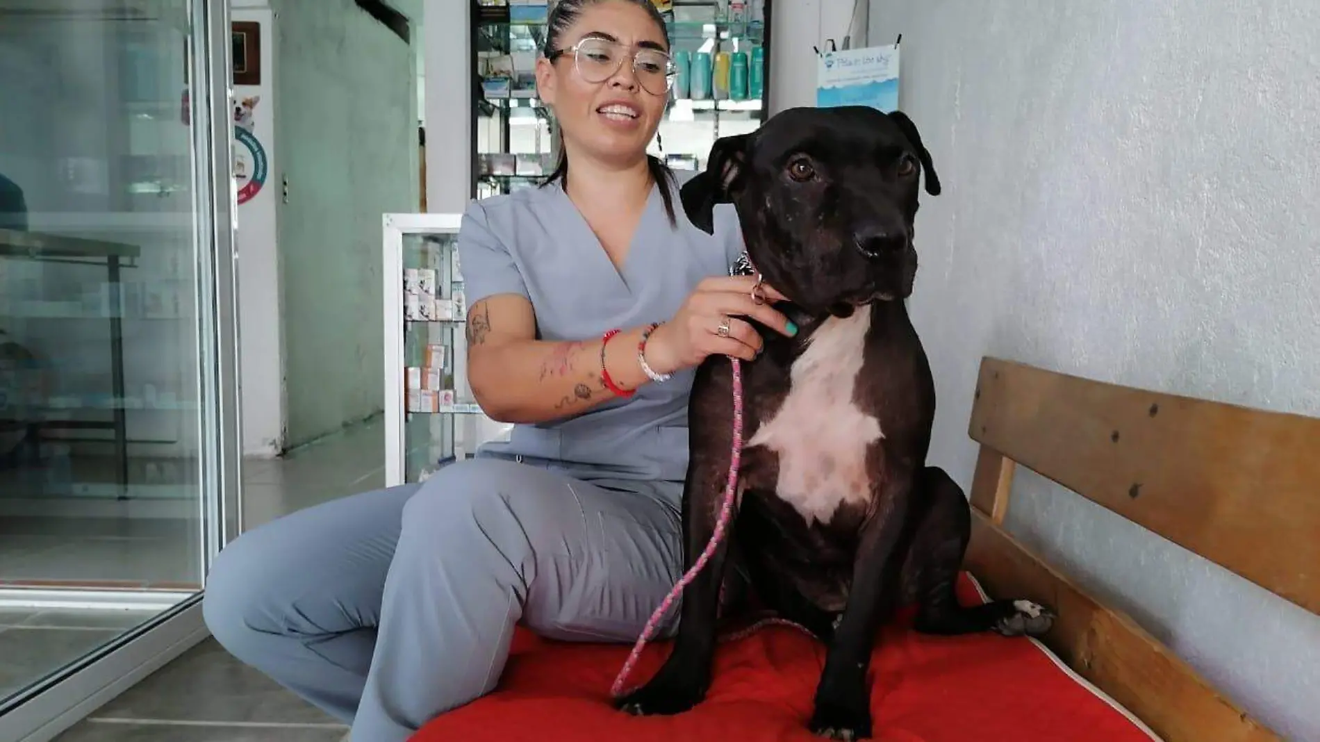 machete-veterinaria-morelos