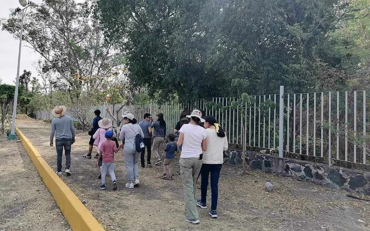 zonas-arboleas-cuautla-gude