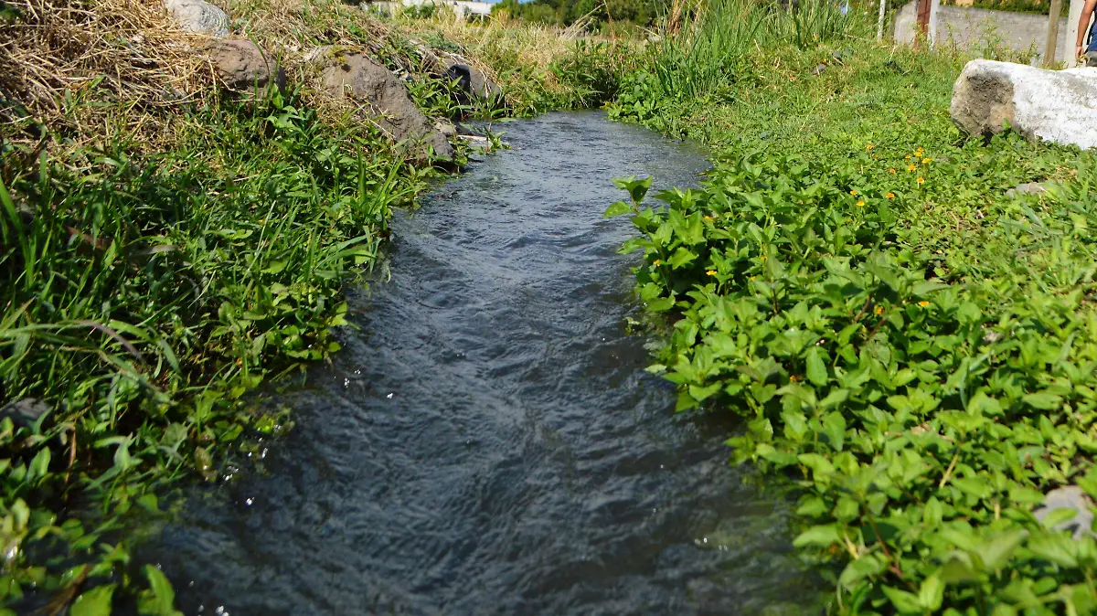 Productores-cuautla-canales