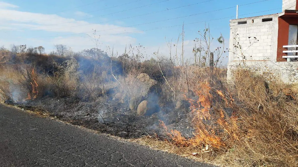 WhatsApp Image 2020-02-29 at 2.31.43 PM