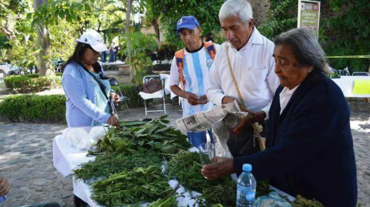 Se cuida el medio ambiente Cortesía