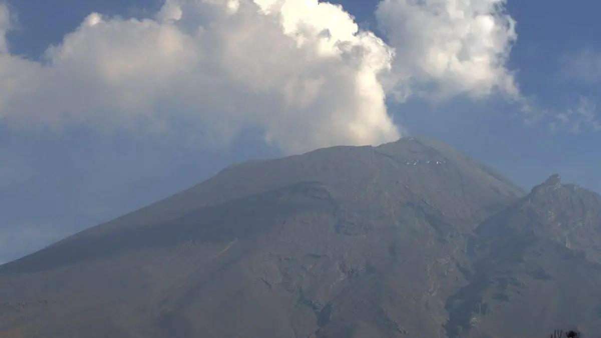 WhatsApp Image 2021-04-24 at 16.53.28