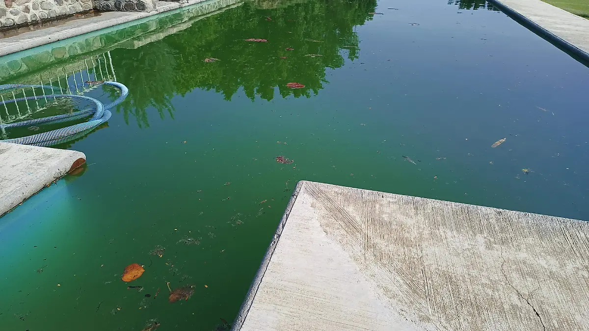 temporada de lluvias