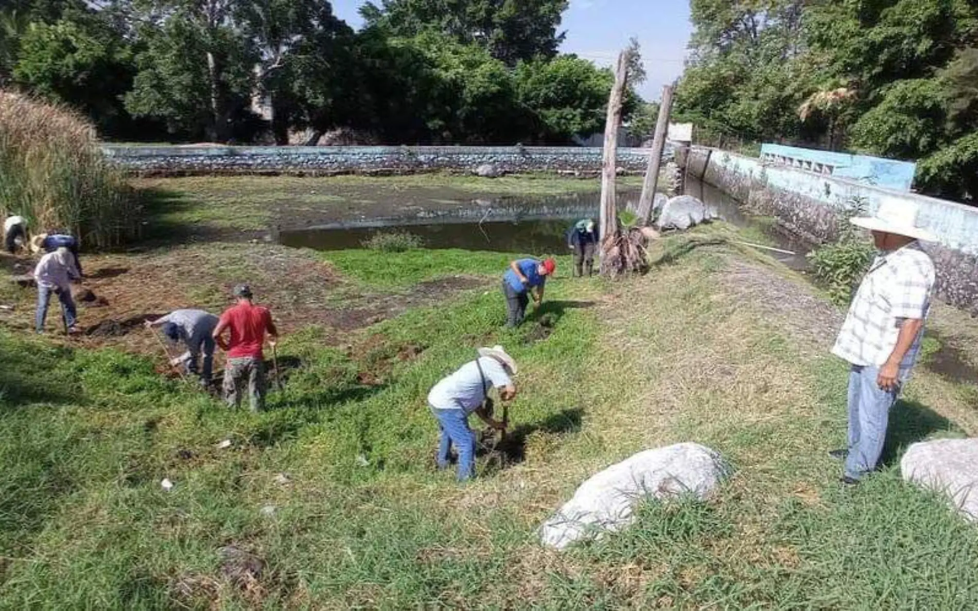 reforestacion-balneario-tazas-cuautla-1-foto-cortesia-enrique-azures