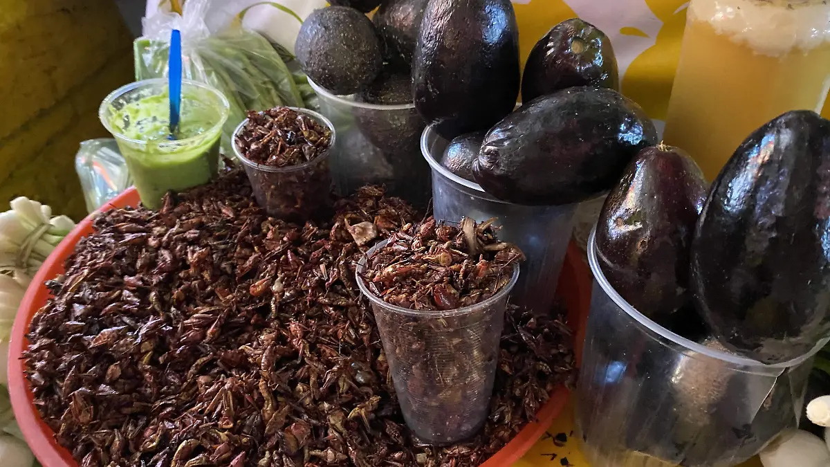 mercado-oaxtepec-platillos-ofelia (2)