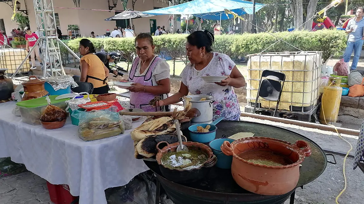 feria-pueblos-originarios-gude3