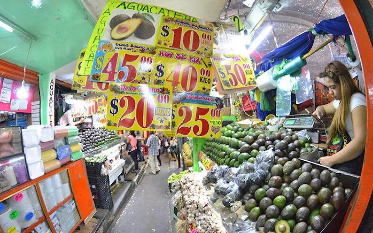 13 H1  ANN