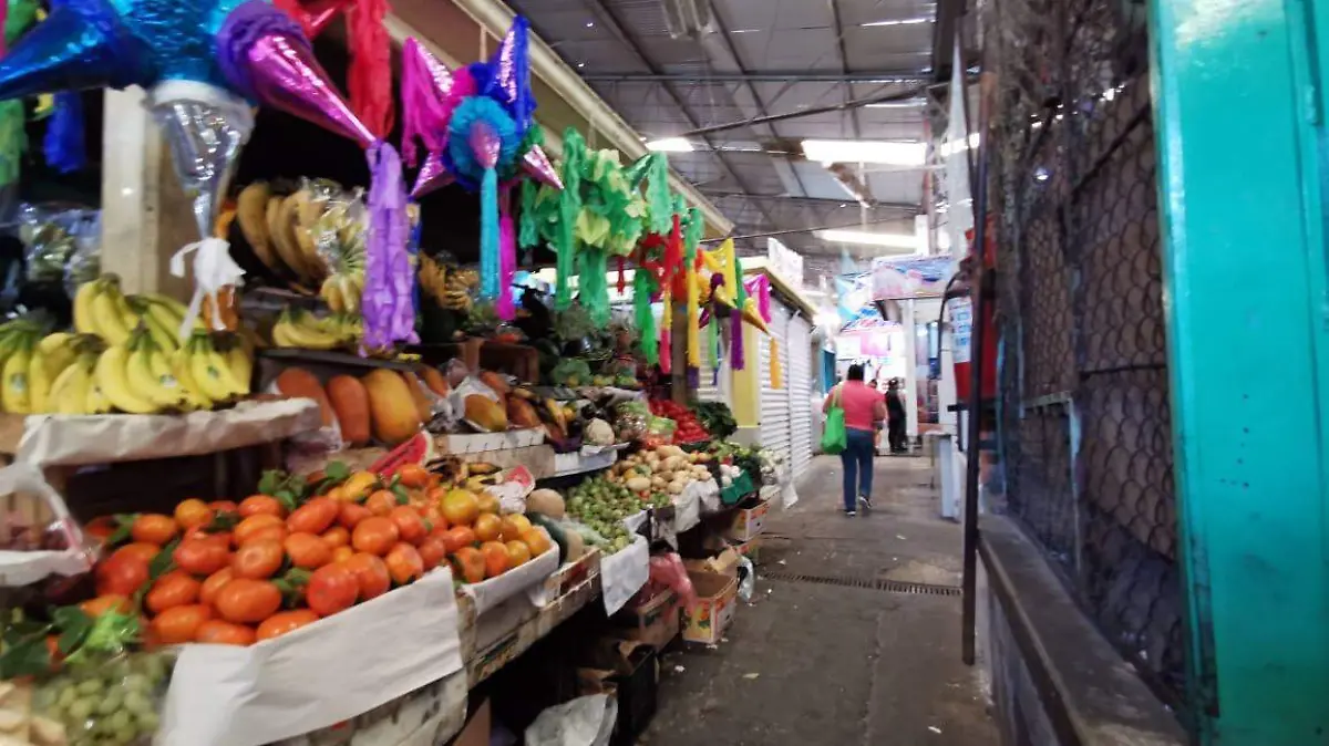 crisis-alimentaria-morelos-rosaura