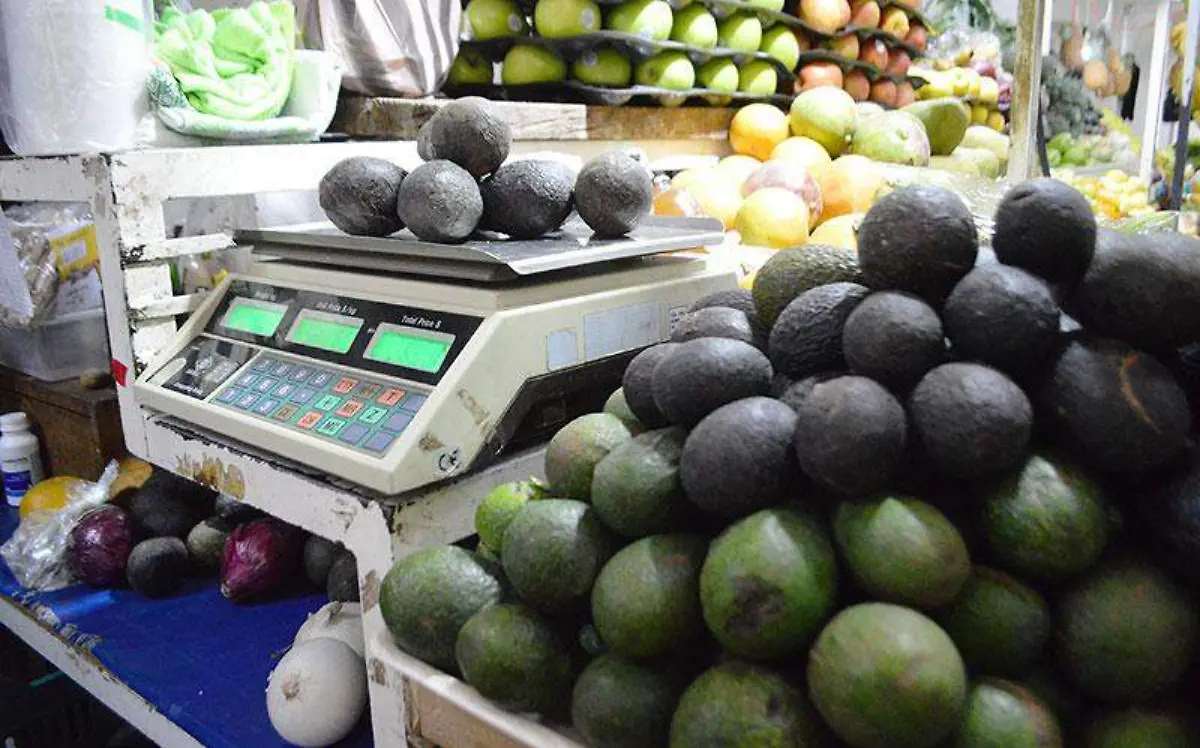 precio-aguacate