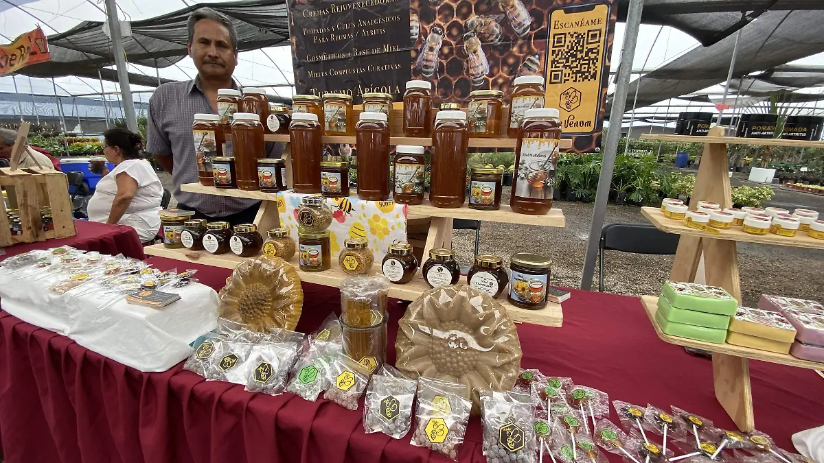 mercadito-verde-ofelia