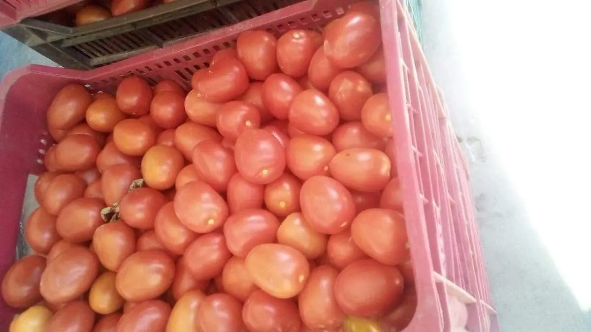 Productos locales