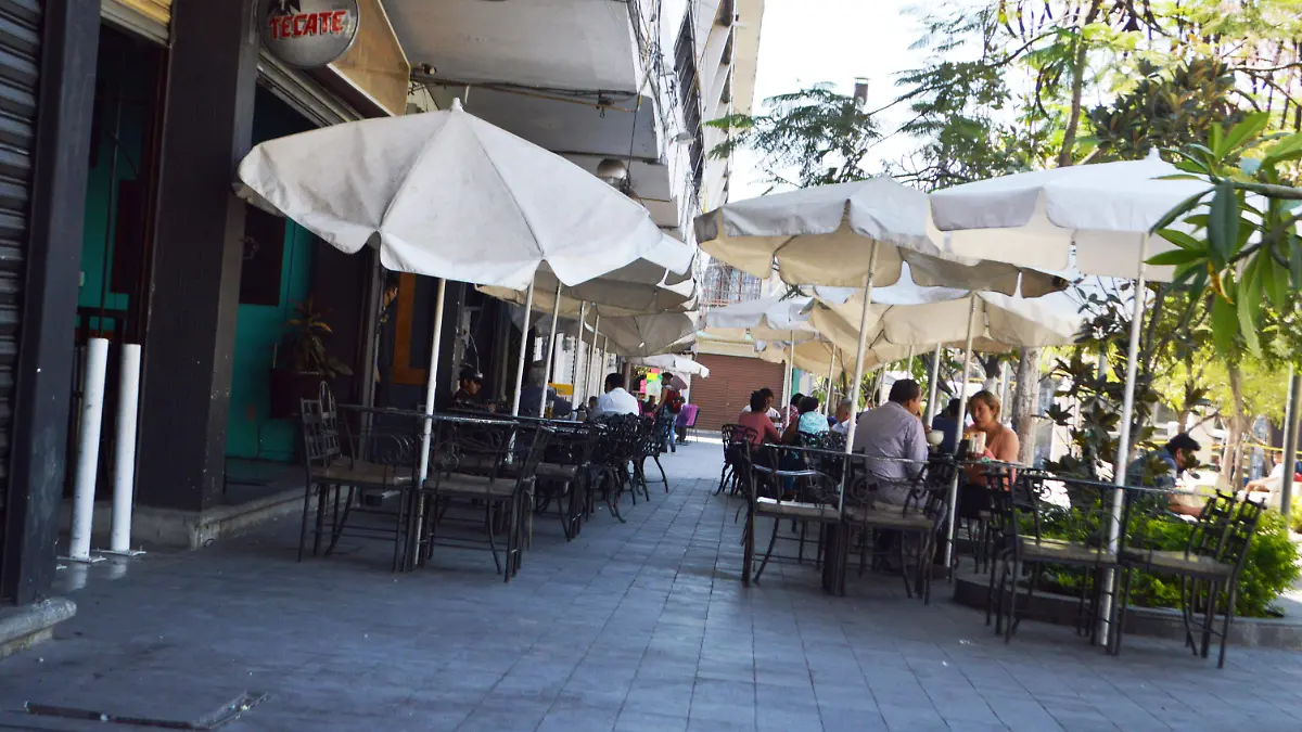 OFELIA NOTA 2 (GUDE) (1)