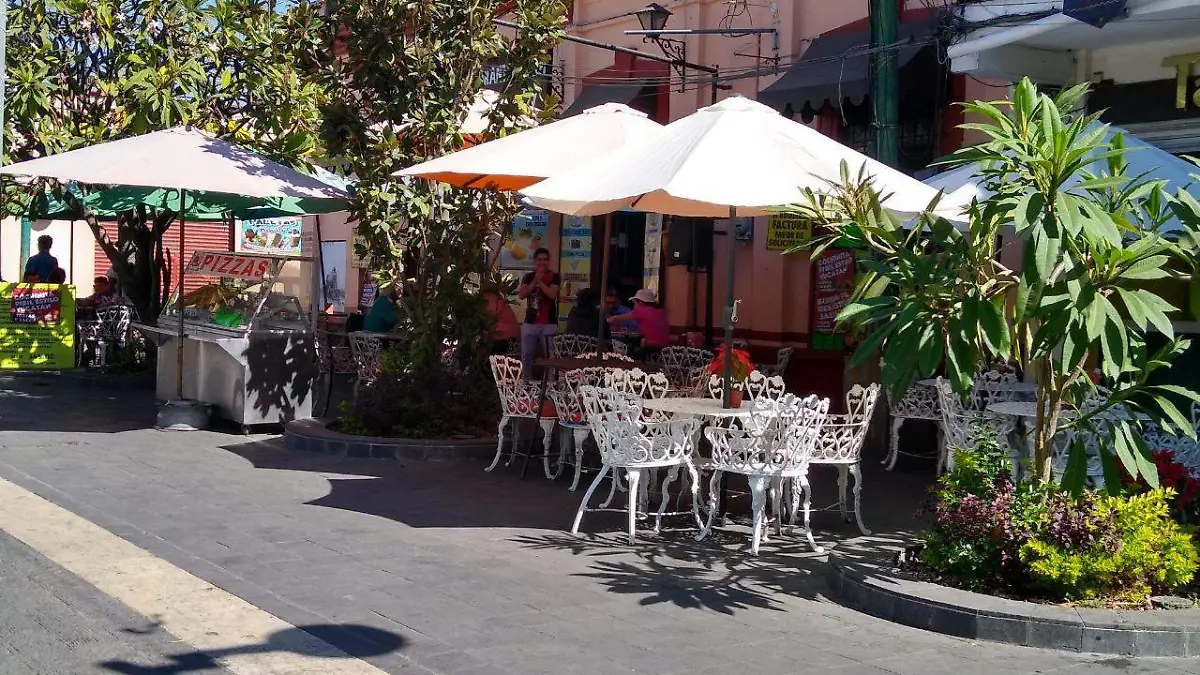 hoteles-resutaurantes-cuautla-rosaura