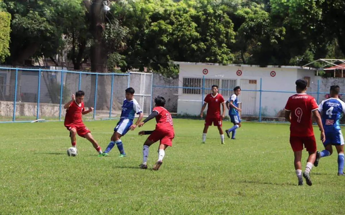 equipos-torneo-liga-tdp