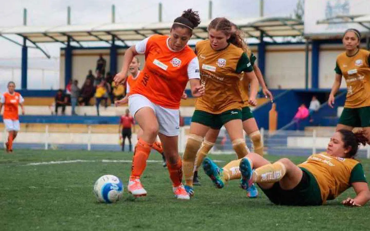 partidos-copa-telmex