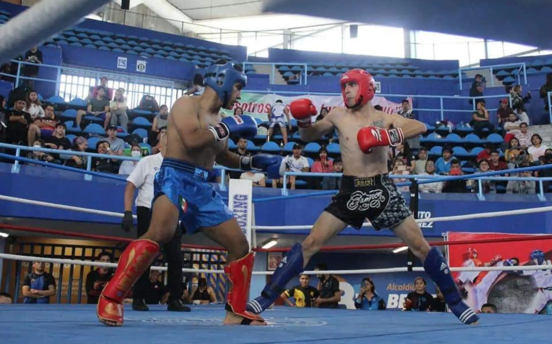 pelea-kickboxing-morelos