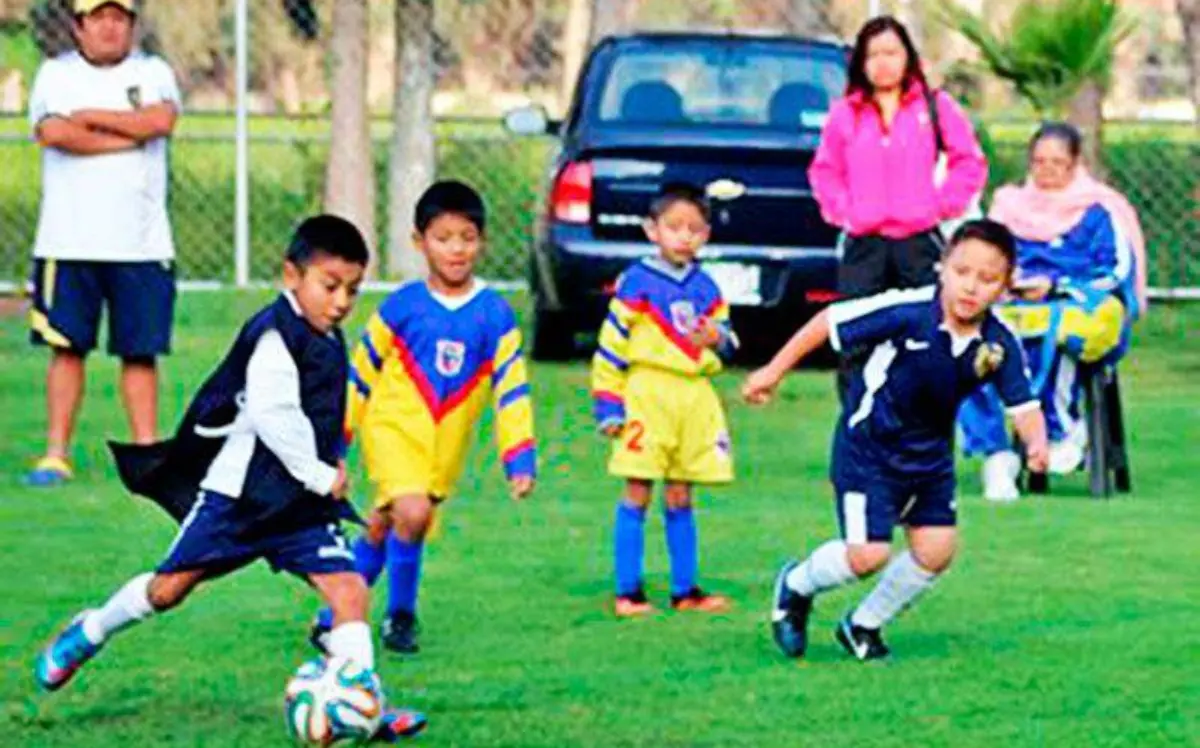 DOM6-LIGA-MAYOR-INFANTIL