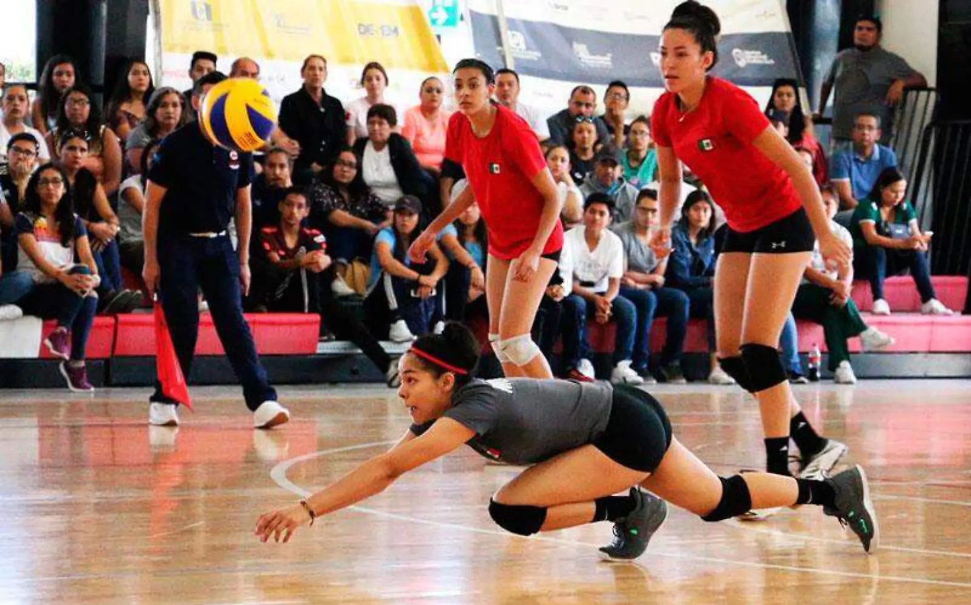 partidos-voleibol-2