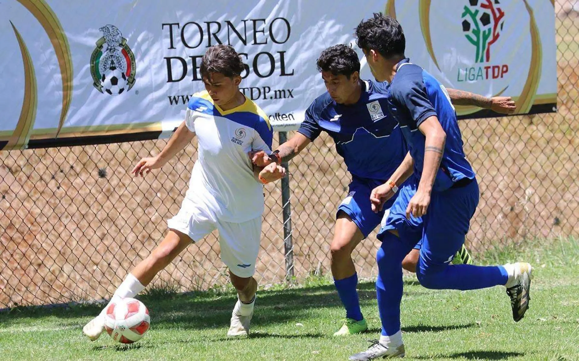 torneo-del-sol-liga-tdp