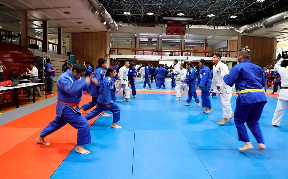 judo-universiada-nacional