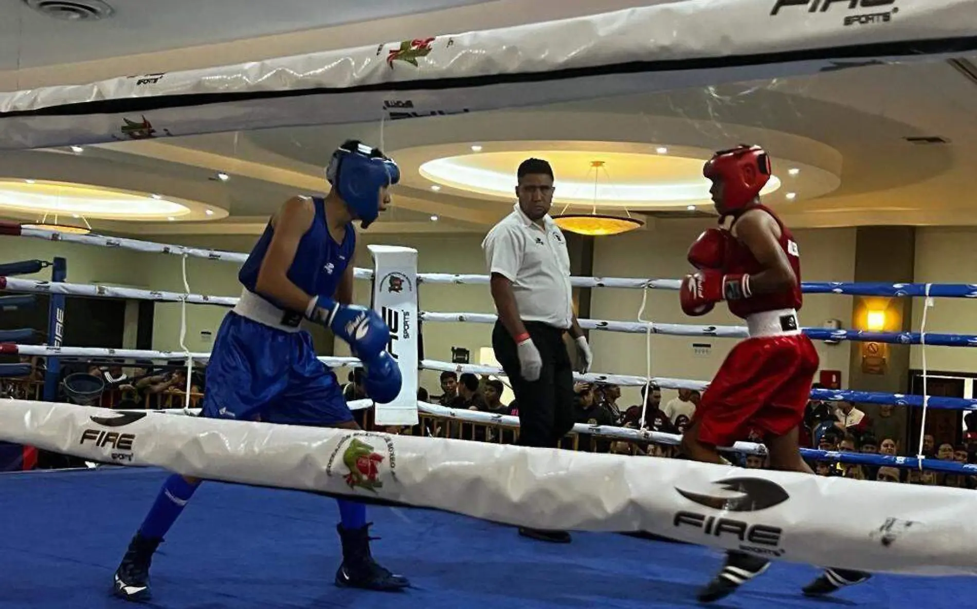 boxeadores-morelos-festival-olimpico-cortesia-federacion-mexicana-boxeo