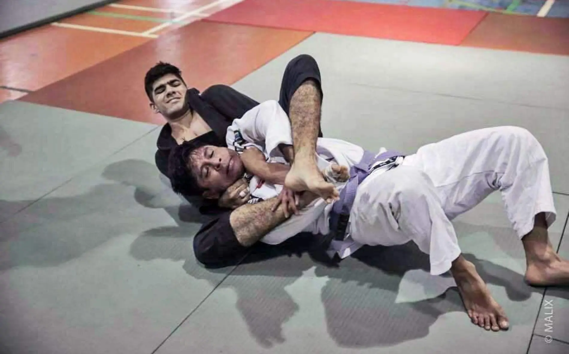 combate-festival-jiujitsu